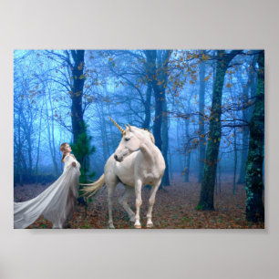 Poster Forêt de Misty