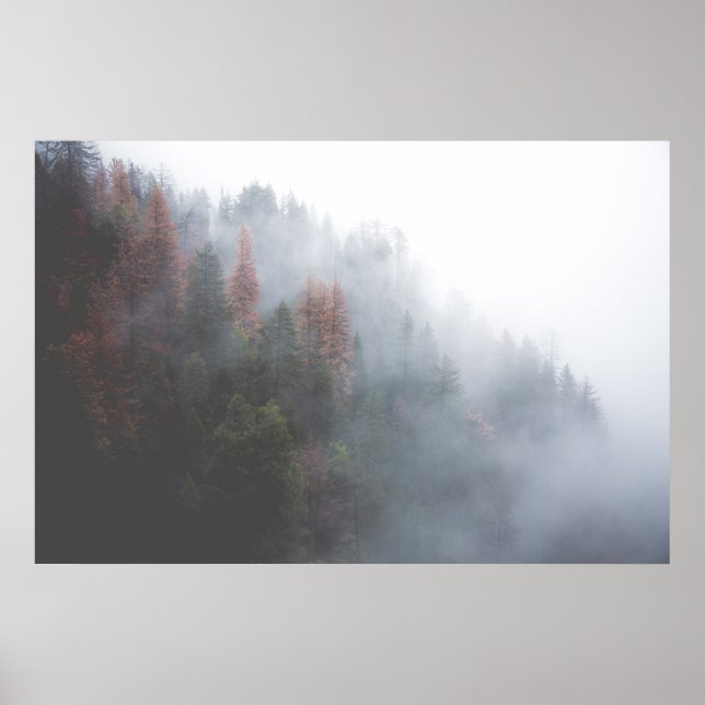 Poster Forêt de Misty (Devant)