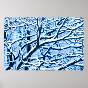 Poster Forêt de Noël