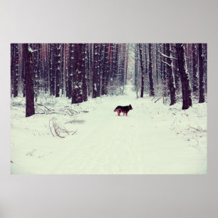 Poster Forêt de pins enneigée d'hiver, chien marchant dan