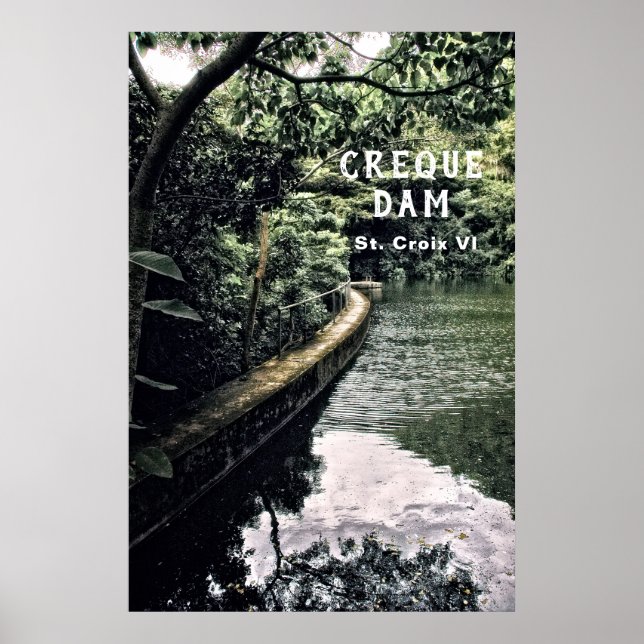 Poster Forêt de pluie des îles Vierges américaines Creque (Devant)