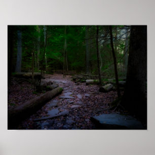 Poster Forêt de rêve avec piste de roche
