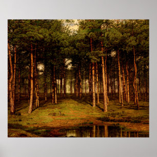 Poster Forêt de sapins à Putte avec des lapins Jean Lamor
