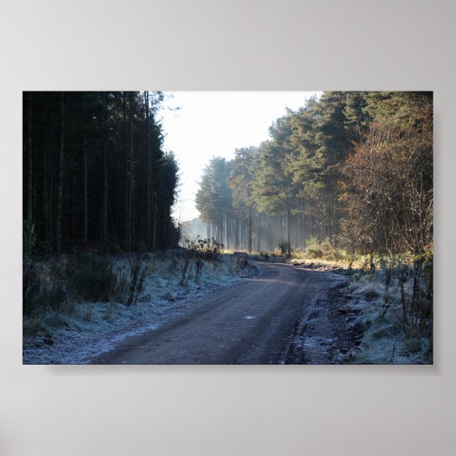 Poster Forêt de Tentsmuir (Devant)