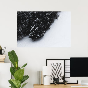 Poster Forêt d'épicéas noire et blanche et neige