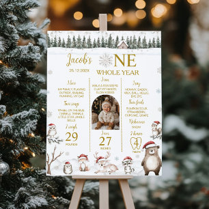 Poster Forêt d'hiver Animaux 1er anniversaire Jalon Photo