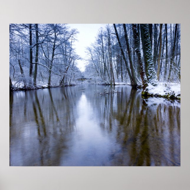 Poster Forêt d'hiver avec beau ruisseau (Devant)