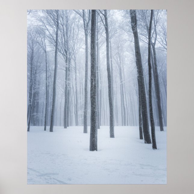 Poster Forêt d'hiver congelée (Devant)
