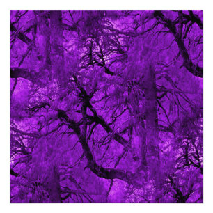 Poster Forêt d'Imaginaires...