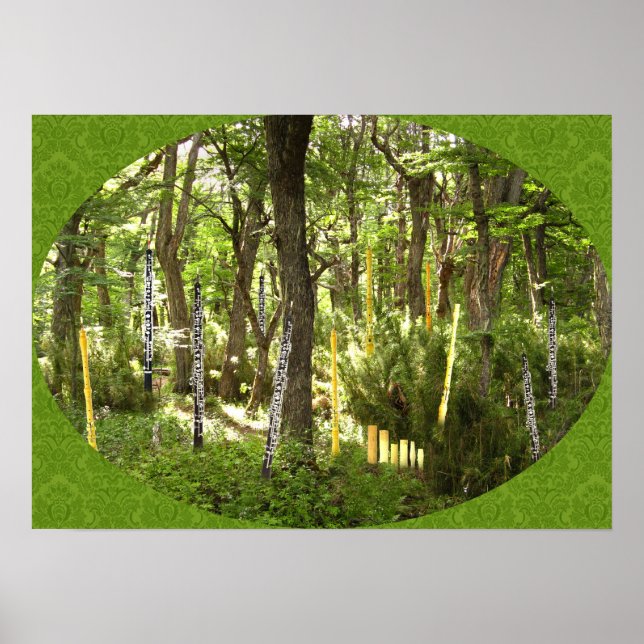 Poster Forêt d'Oboe (Devant)