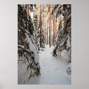 Poster Forêt en hiver