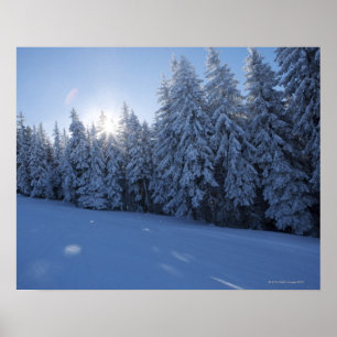 Poster forêt enneigée dans la montagne