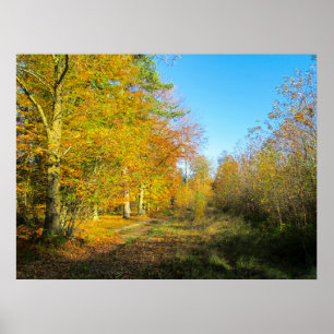 Poster Forêt ensoleillée d'automne - Personnalisé