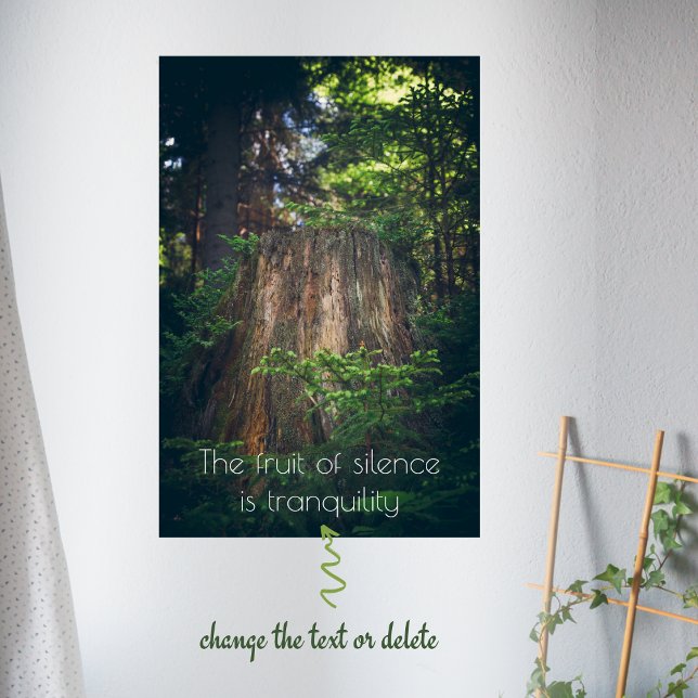 Poster Forêt estivale paisible (Créateur téléchargé)