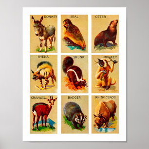 Poster Forêt et jungle Animaux Nature Faune Art