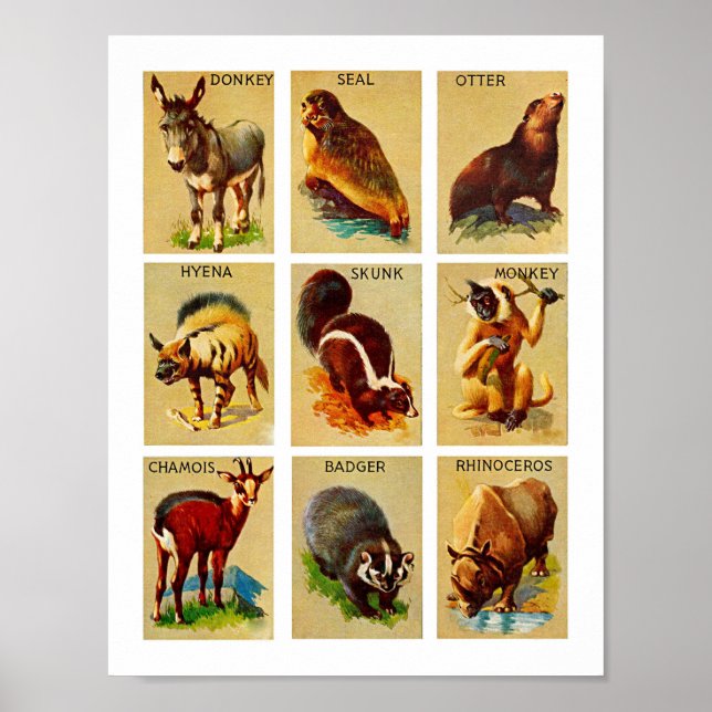 Poster Forêt et jungle Animaux Nature Faune Art (Devant)