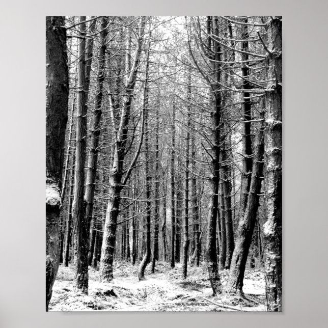 Poster Forêt forestière de neige d'hiver (Devant)