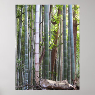 Poster Forêt géante japonaise de bambou, Sagano, Kyoto, J