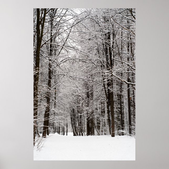 Poster Forêt hivernale (Devant)