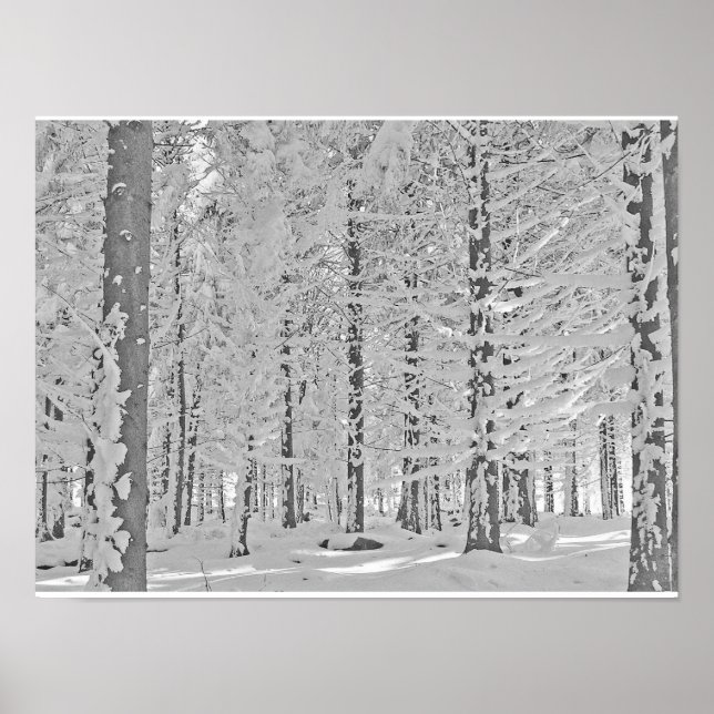 Poster forêt hivernale (Devant)