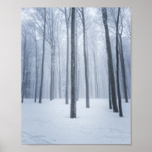 Poster Forêt hivernale gelée et brumeuse