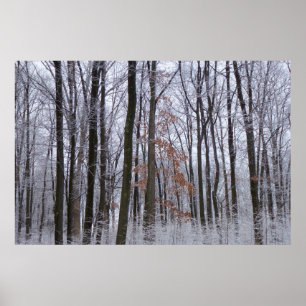 Poster Forêt huppée neige paysage d'hiver Photographie