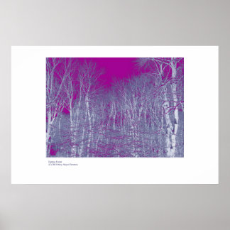 Poster Forêt Imaginaire