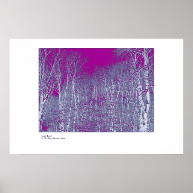 Poster Forêt Imaginaire (Devant)