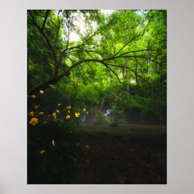 Poster Forêt magique avec fleurs jaunes et cascade (Devant)