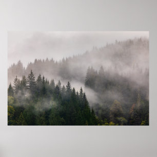 Poster Forêt Misty dans les montagnes