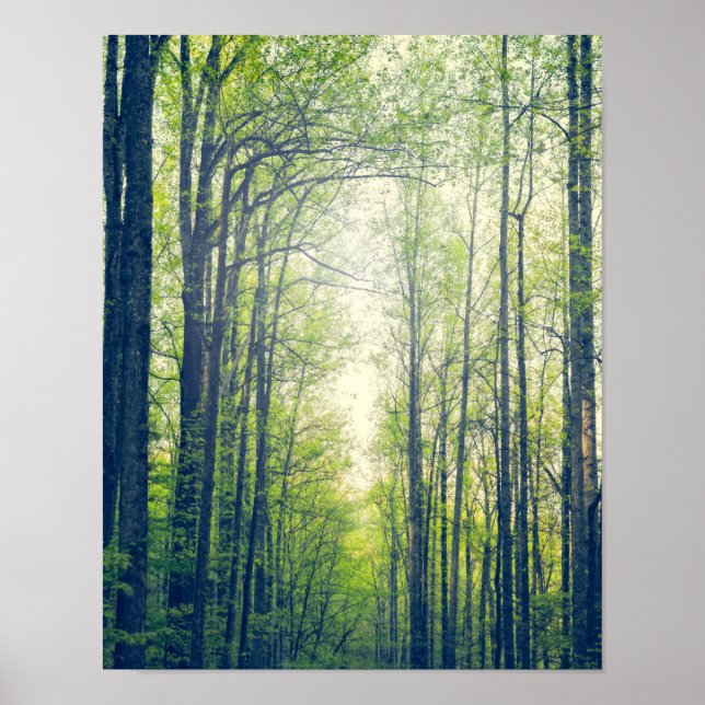 Poster Forêt mystique (Devant)