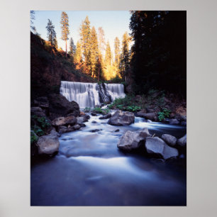 Poster Forêt nationale de Californie, Shasta-Trinity