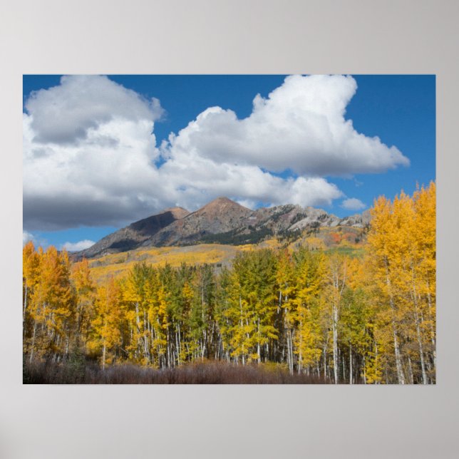 Poster Forêt nationale de Gunnison, Colorado (Devant)