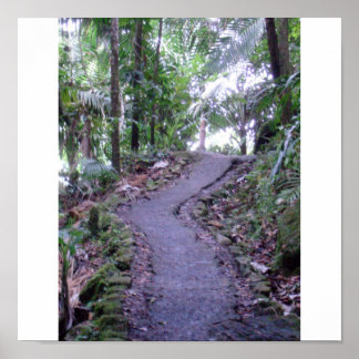 Poster Forêt nationale d'El Yunque