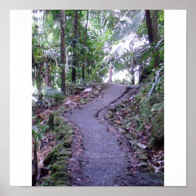 Poster Forêt nationale d'El Yunque (Devant)