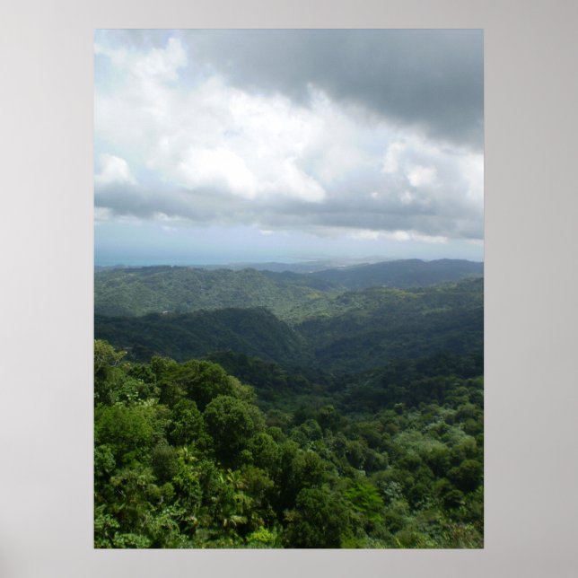 Poster Forêt nationale d'El Yunque (Devant)