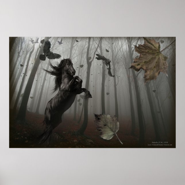 Poster Forêt Noire (Devant)