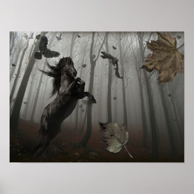 Poster Forêt Noire (Devant)