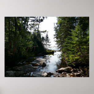 Poster Forêt près de Hunters Beach à Acadia National Park