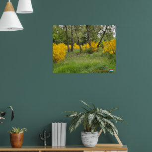 Poster Forêt printanière au Luxembourg voyage