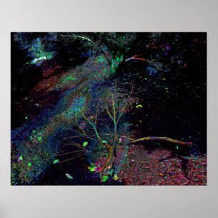 Poster Forêt psychédélique…