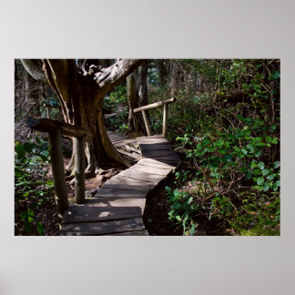 Poster Forêt Rainforest Boardwalk with Steps Imprimer