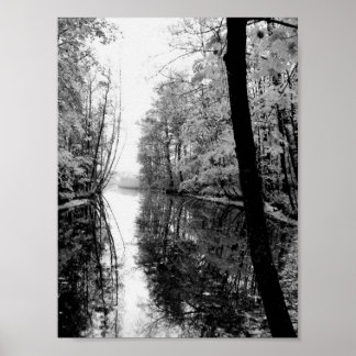 Poster Forêt Rivière Noir et Blanc