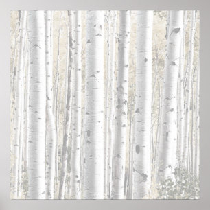 Poster Forêt rustique de bouleaux blancs d'hiver