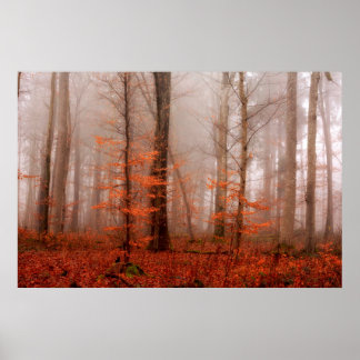 Poster Forêt sauvage rouge brumeux hiver sans neige