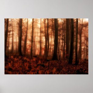 Poster Forêt sauvage rouge brumeux hiver sans neige
