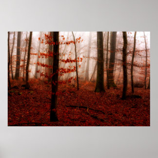 Poster Forêt sauvage rouge brumeux hiver sans neige