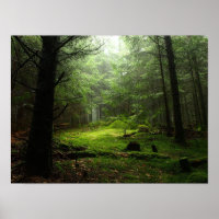 Forêt stérile