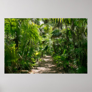 Poster Forêt   Tropical Rainforest Tulum Mexique