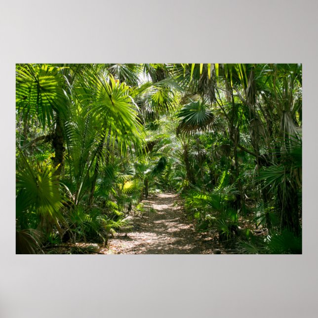 Poster Forêt | Tropical Rainforest Tulum Mexique (Devant)